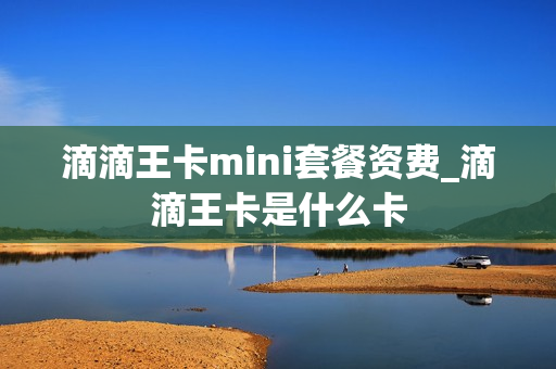 滴滴王卡mini套餐资费_滴滴王卡是什么卡