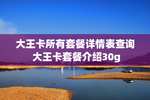 大王卡所有套餐详情表查询 大王卡套餐介绍30g