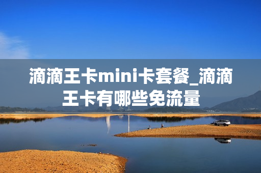 滴滴王卡mini卡套餐_滴滴王卡有哪些免流量