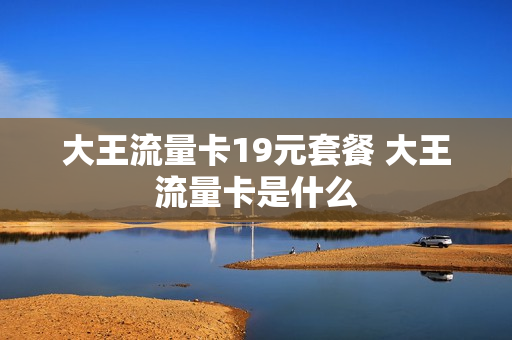 大王流量卡19元套餐 大王流量卡是什么