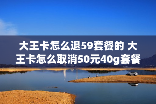 大王卡怎么退59套餐的 大王卡怎么取消50元40g套餐