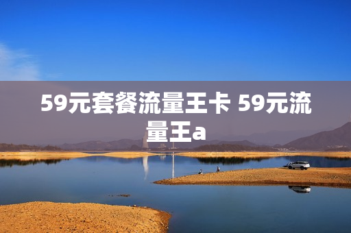 59元套餐流量王卡 59元流量王a