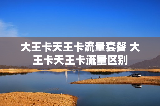 大王卡天王卡流量套餐 大王卡天王卡流量区别