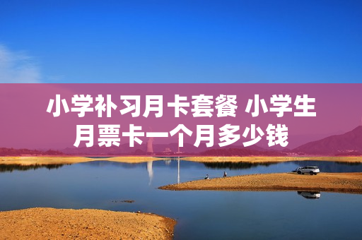 小学补习月卡套餐 小学生月票卡一个月多少钱
