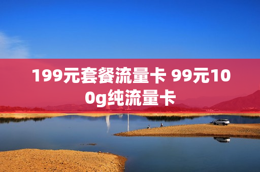 199元套餐流量卡 99元100g纯流量卡