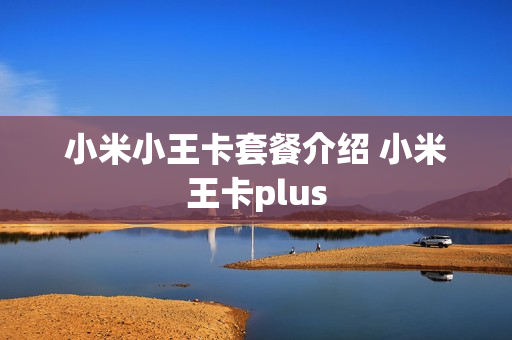 小米小王卡套餐介绍 小米王卡plus