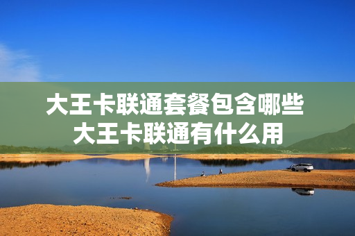 大王卡联通套餐包含哪些 大王卡联通有什么用