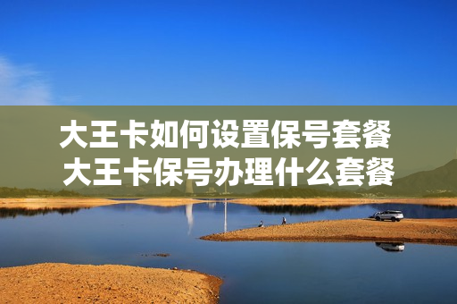 大王卡如何设置保号套餐 大王卡保号办理什么套餐
