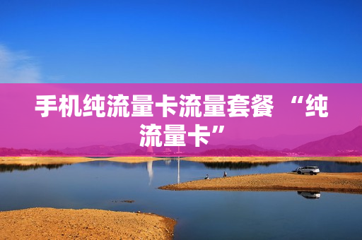 手机纯流量卡流量套餐 “纯流量卡”