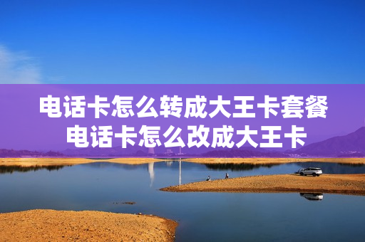 电话卡怎么转成大王卡套餐 电话卡怎么改成大王卡