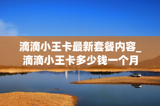 滴滴小王卡最新套餐内容_滴滴小王卡多少钱一个月