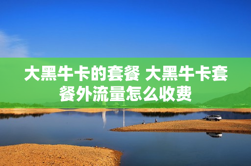 大黑牛卡的套餐 大黑牛卡套餐外流量怎么收费