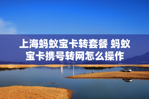 上海蚂蚁宝卡转套餐 蚂蚁宝卡携号转网怎么操作
