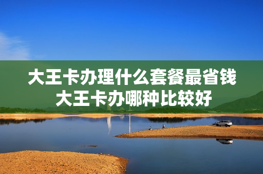 大王卡办理什么套餐最省钱 大王卡办哪种比较好