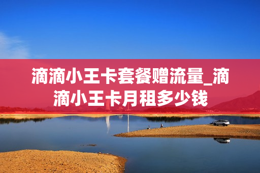 滴滴小王卡套餐赠流量_滴滴小王卡月租多少钱