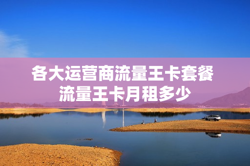 各大运营商流量王卡套餐 流量王卡月租多少
