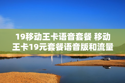 19移动王卡语音套餐 移动王卡19元套餐语音版和流量版有什么区别