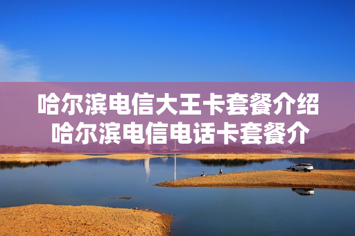 哈尔滨电信大王卡套餐介绍 哈尔滨电信电话卡套餐介绍