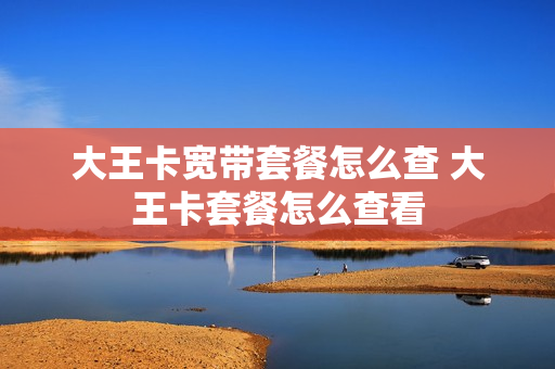 大王卡宽带套餐怎么查 大王卡套餐怎么查看