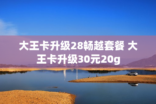 大王卡升级28畅越套餐 大王卡升级30元20g