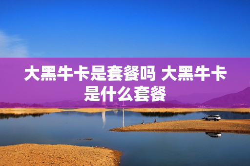 大黑牛卡是套餐吗 大黑牛卡是什么套餐