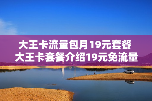 大王卡流量包月19元套餐 大王卡套餐介绍19元免流量是什么意思