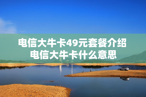 电信大牛卡49元套餐介绍 电信大牛卡什么意思