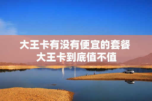 大王卡有没有便宜的套餐 大王卡到底值不值