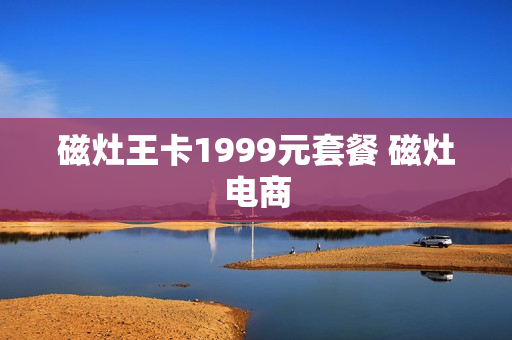 磁灶王卡1999元套餐 磁灶电商