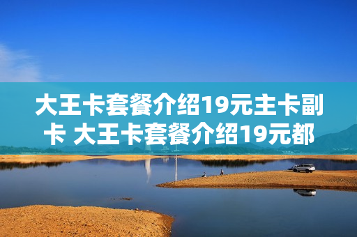大王卡套餐介绍19元主卡副卡 大王卡套餐介绍19元都包括什么