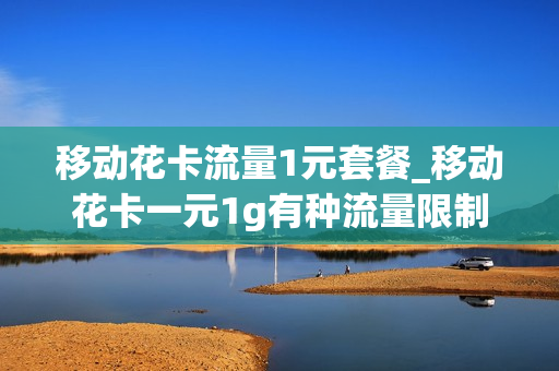 移动花卡流量1元套餐_移动花卡一元1g有种流量限制吗