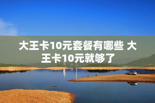 大王卡10元套餐有哪些 大王卡10元就够了
