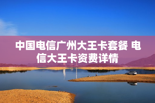 中国电信广州大王卡套餐 电信大王卡资费详情