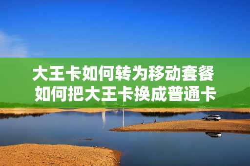 大王卡如何转为移动套餐 如何把大王卡换成普通卡