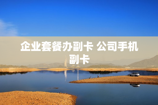企业套餐办副卡 公司手机副卡