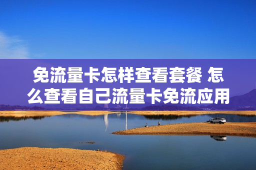 免流量卡怎样查看套餐 怎么查看自己流量卡免流应用