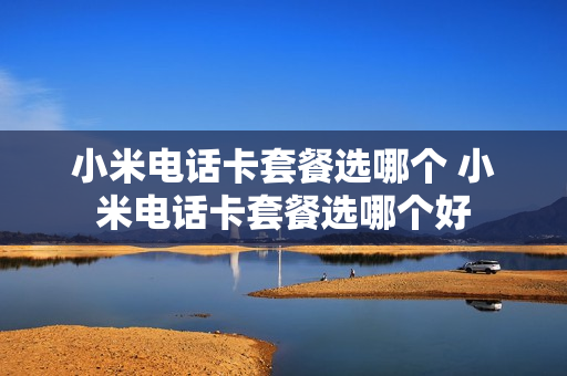 小米电话卡套餐选哪个 小米电话卡套餐选哪个好
