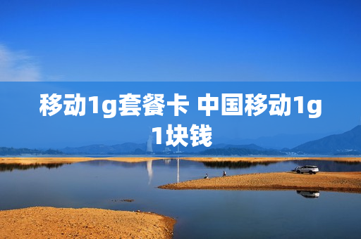 移动1g套餐卡 中国移动1g1块钱