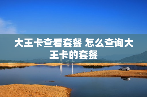 大王卡查看套餐 怎么查询大王卡的套餐