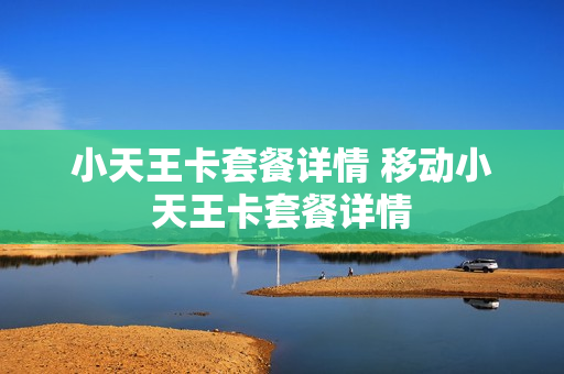 小天王卡套餐详情 移动小天王卡套餐详情