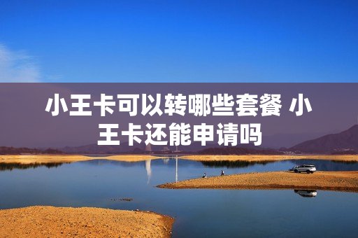 小王卡可以转哪些套餐 小王卡还能申请吗