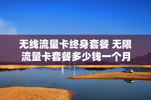 无线流量卡终身套餐 无限流量卡套餐多少钱一个月