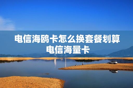 电信海鸥卡怎么换套餐划算 电信海量卡