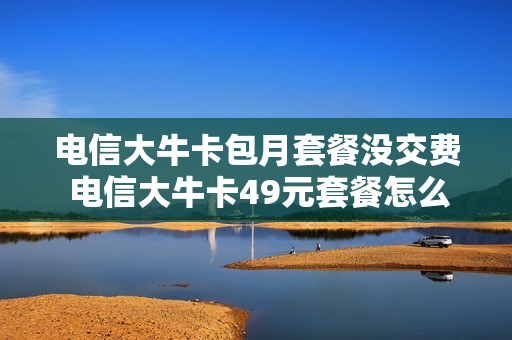 电信大牛卡包月套餐没交费 电信大牛卡49元套餐怎么退订
