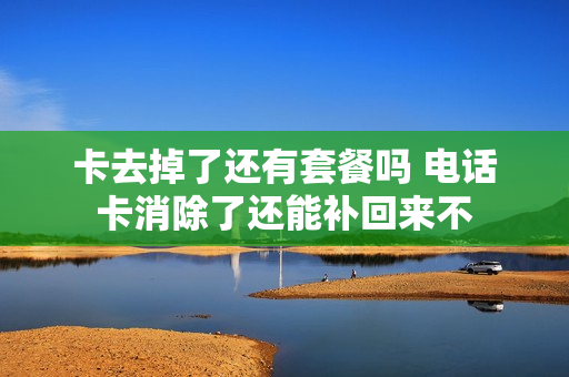 卡去掉了还有套餐吗 电话卡消除了还能补回来不