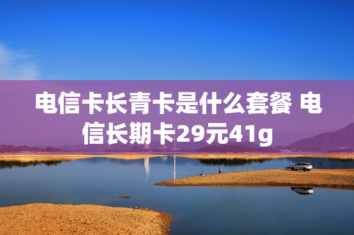电信卡长青卡是什么套餐 电信长期卡29元41g