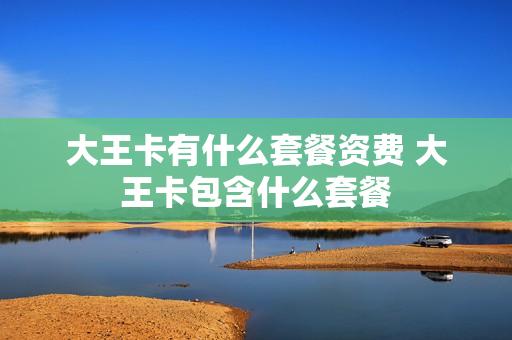 大王卡有什么套餐资费 大王卡包含什么套餐