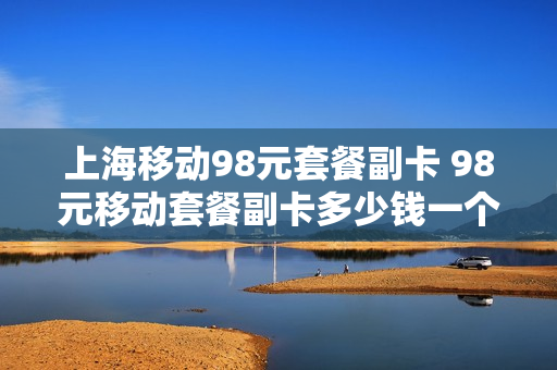 上海移动98元套餐副卡 98元移动套餐副卡多少钱一个月