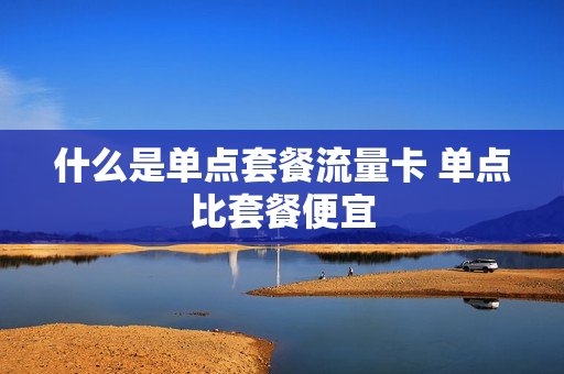 什么是单点套餐流量卡 单点比套餐便宜