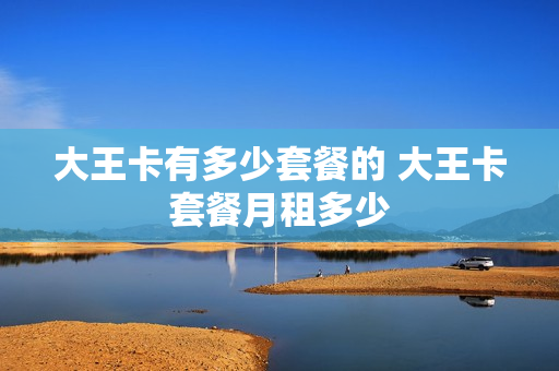 大王卡有多少套餐的 大王卡套餐月租多少